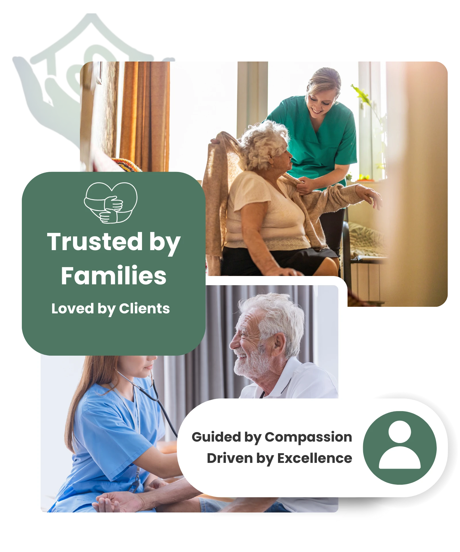 Delight Home Health Care Vision